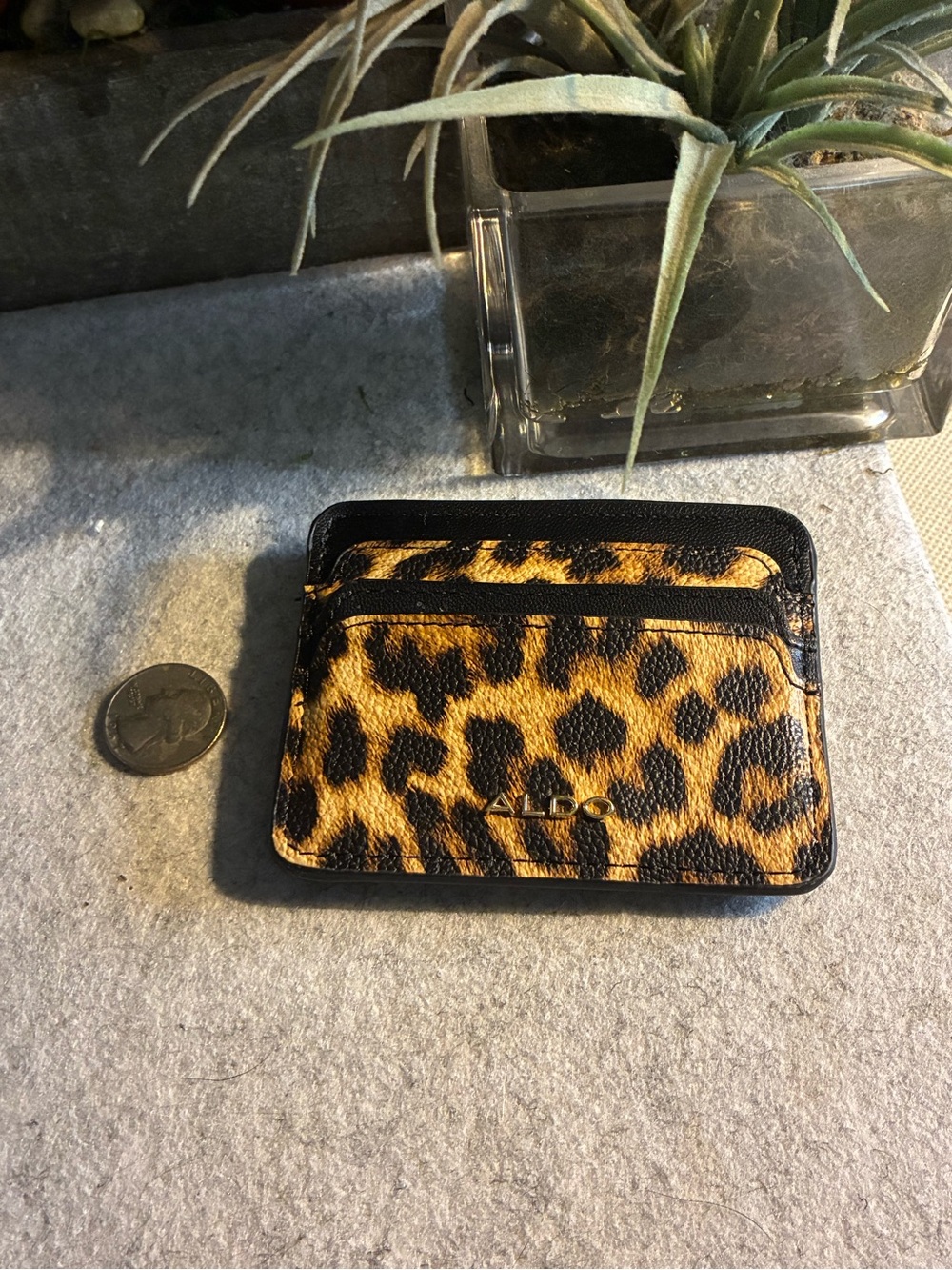 Aldo Leopard Print Card Holder